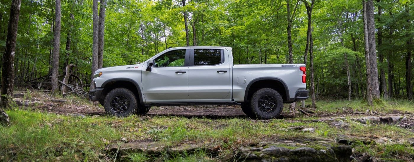 A white 2023 Chevy Silverado 1500 ZR2 Bison is shown from a side angle while parked in a forest.