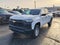 2023 Chevrolet Colorado 2WD Work Truck