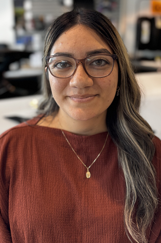 ANIXA ESPINOSA FLORES